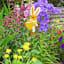 Homespun Easter Yellow Chick Yard Pick, 15"