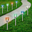 Solar Color Changing Rose Pathway Light