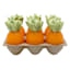 Homespun Easter 6-Pack Carrot Votive Candles