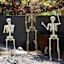 Posable Life-Size Halloween Skeleton, 5'