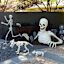 Posable Life-Size Halloween Skeleton, 5'