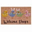 Welcome Chicks Coir Mat, 18x30