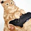 Rascal Cat Canvas Wall Art, 12x16