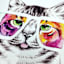 Cat in Cosmic Glasses Canvas Wall Art, 12x16