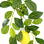 Lemon Garland, 72"