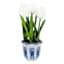 White Tulips in Blue & White Ceramic Pot, 11"