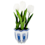 White Tulips in Blue & White Ceramic Pot, 11"