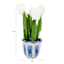 White Tulips in Blue & White Ceramic Pot, 11"