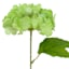 Green Mini Hydrangea Pick, 10"