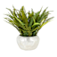 Fern in Pearlescent Pot, 14"