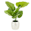 20IN TARO LEAF IN PEARLESCENT POT
