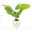 20IN TARO LEAF IN PEARLESCENT POT