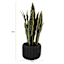 Snake Plant in Black Cement Pot, 20"