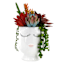 Succulent Mix in Face Vessel, 9.5"