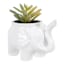 Succulent in Elephant Pot, 4"