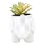 Succulent in Elephant Pot, 4"