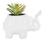 Succulent in Elephant Pot, 4"