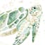 Honeybloom Glass Framed Turtle Print Wall Art, 16x20