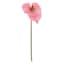 Pink Anthurium Stem, 27.5"