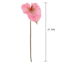 Pink Anthurium Stem, 27.5"