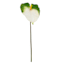 Green & White Anthurium Stem, 27.5"