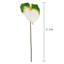 Green & White Anthurium Stem, 27.5"