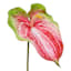 Green & Pink Anthurium Stem, 27.5"
