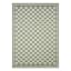 (E536) Honeybloom Green Checkerboard Area Rug, 5x7