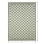 (E536) Honeybloom Green Checkerboard Area Rug, 5x7