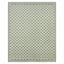 (E536) Honeybloom Green Checkerboard Area Rug, 8x10