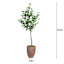 Bay Tree in Magnesia Pot, 47"
