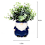 Eucalyptus in Blue Gnome Pot