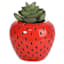 Mini Succulents in Red Strawberry Pot, 4.8"