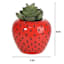 Mini Succulents in Red Strawberry Pot, 4.8"