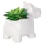 Mini Succulents in Ceramic Animal Pot