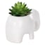 Mini Succulents in Ceramic Elephant Pot