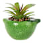 Mini Succulent in Green Lime Vase
