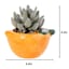 Mini Succulent in Orange Vase