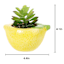 Mini Succulent in Lemon Vase