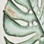 Framed Leaves Canvas Wall Art, 24x36