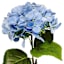 Light Blue Real-Feel Cone Hydrangea Stem, 24"