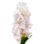 Pink Real Feel Fabric Cone Hydrangea Stem, 24"