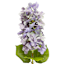 Light Purple Real-Feel Cone Hydrangea Stem, 24"