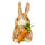 Homespun Easter Sisal Rabbit with Carrot, 6"