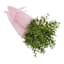 Providence Set of 3 Pink Velvet Carrots