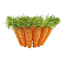Homespun Easter Carrot Basket, 11"