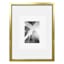 12x16 Gold Matted to 8x10 & 5x7 Wall Frame
