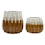 Honeybloom Indoor Ribbed Honey Glaze Planter, Medium