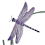 Providence Metal Dragonfly Outdoor Wall Decor, 36"