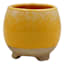 Indoor Cleo Yellow Planter, 4"